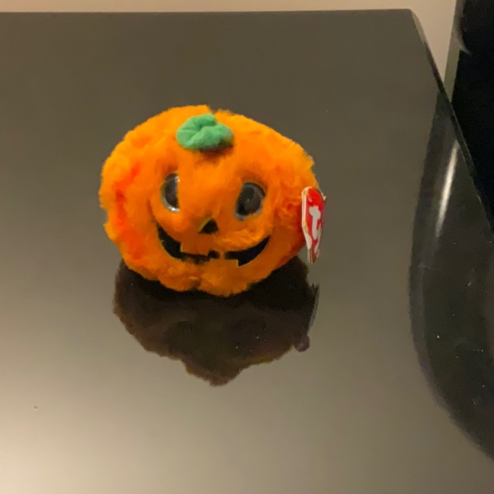Seasonal Decor Beanie NWT